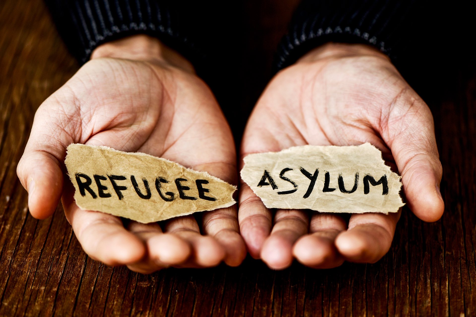 Closeup of hands holding two pieces of torn paper with the words refugee asylum